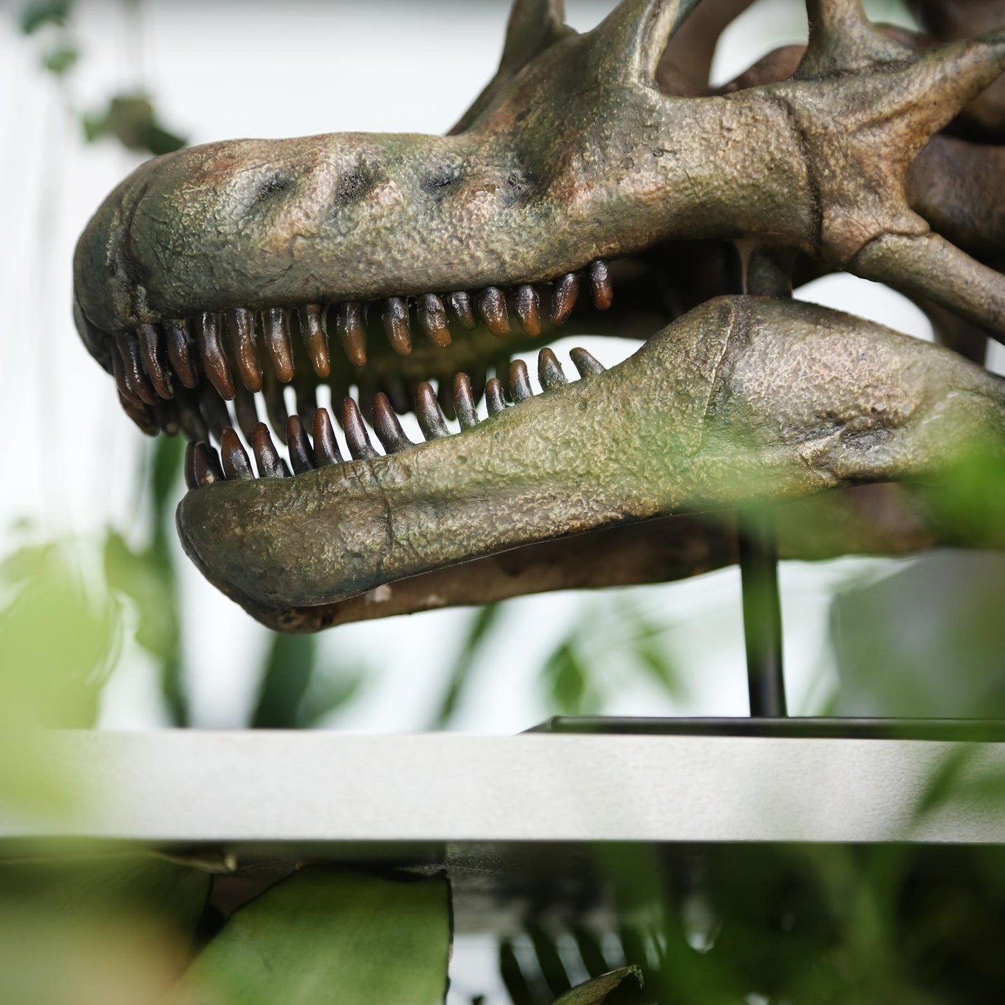 Brachiosaurus