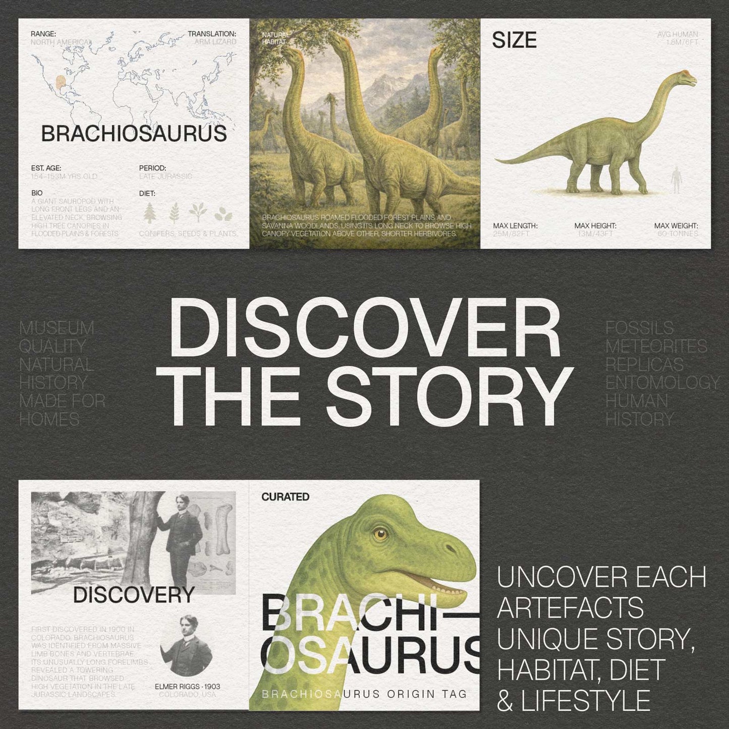 Brachiosaurus