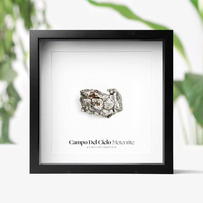 Campo Del Cielo Meteorite
