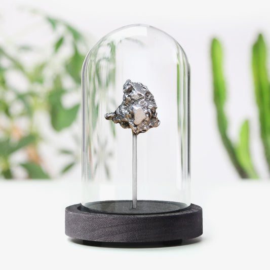 Campo Del Cielo Meteorite