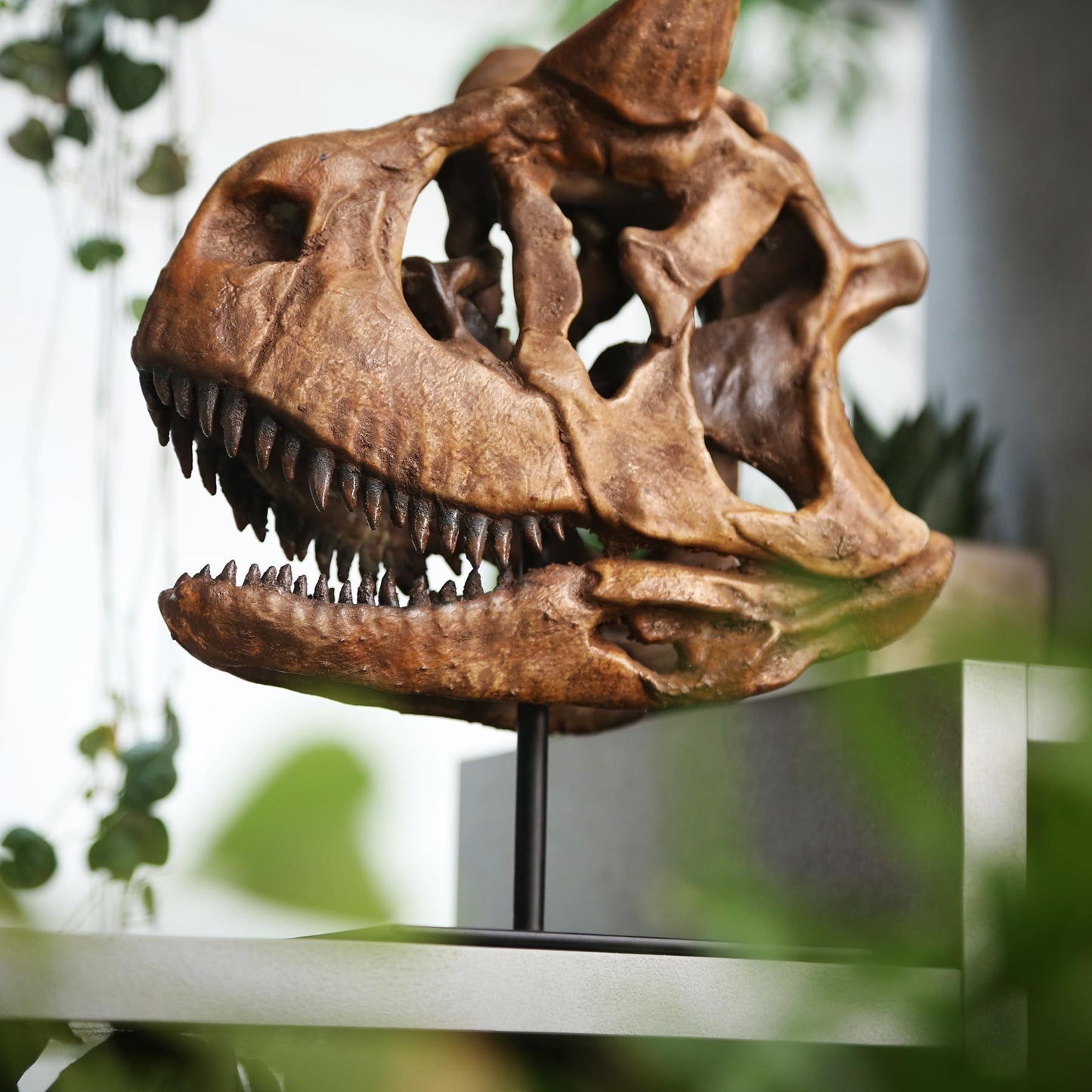 Carnotaurus
