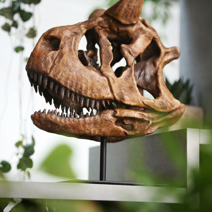 Carnotaurus