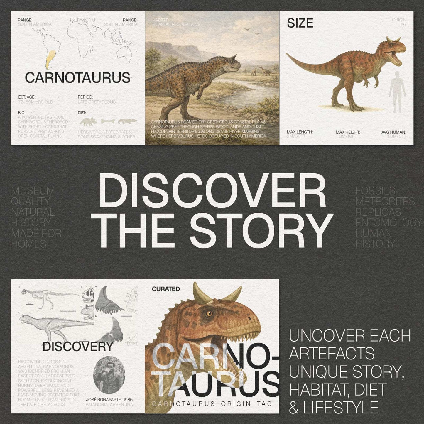 Carnotaurus