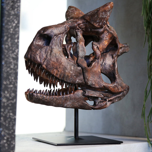 Carnotosaurus