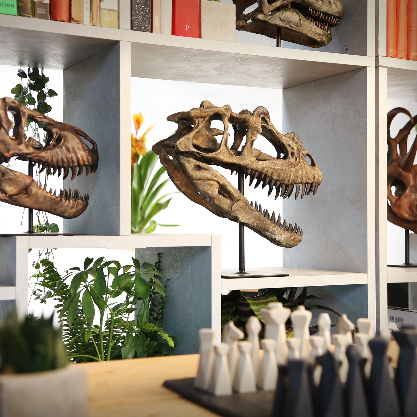 Ceratosaurus