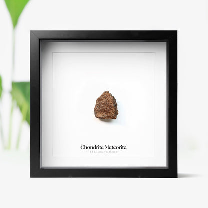 Chondrite Meteorite