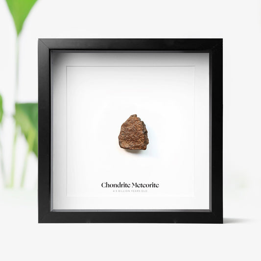 Chondrite Meteorite