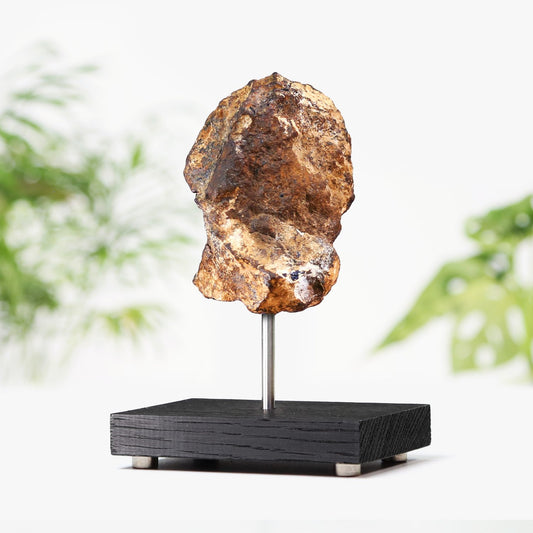 Chondrite Meteorite