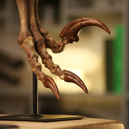 Velociraptor Killing Claw