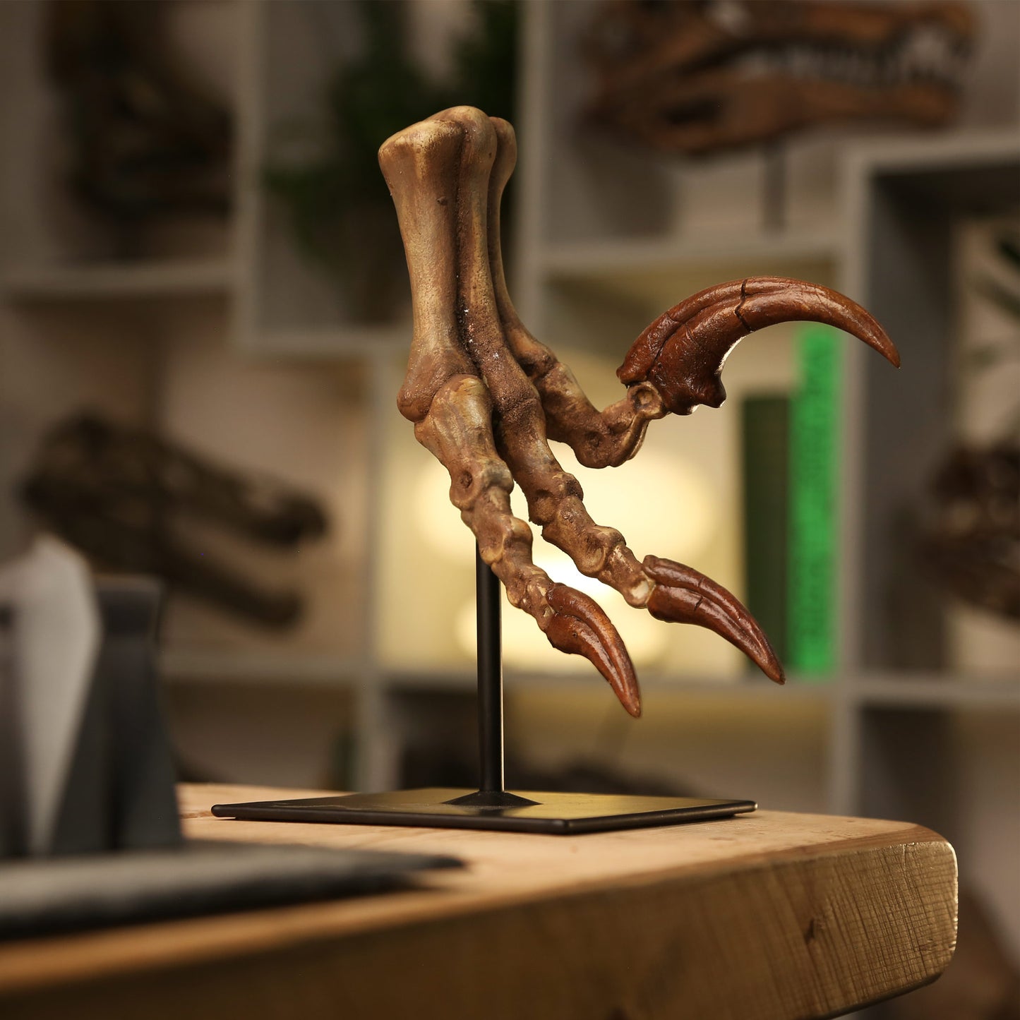 Velociraptor Killing Claw