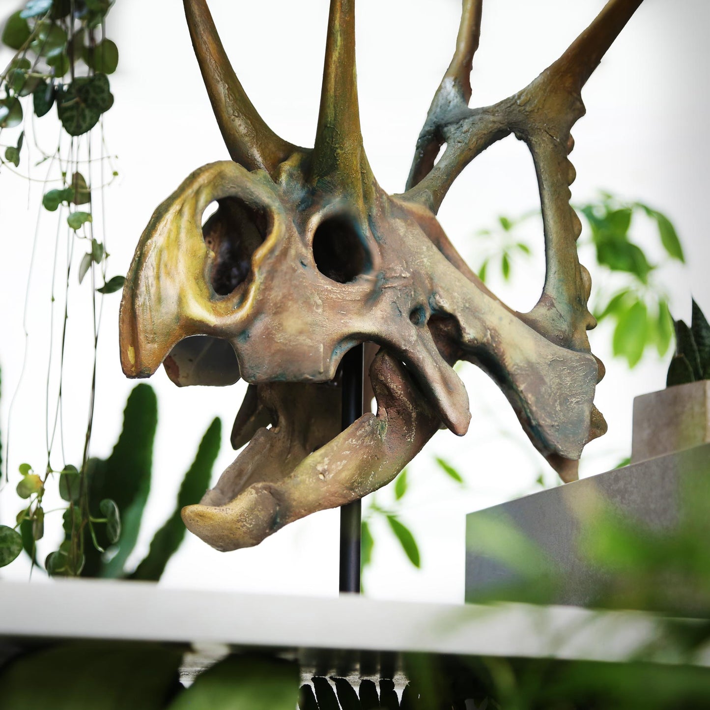 Diabloceratops
