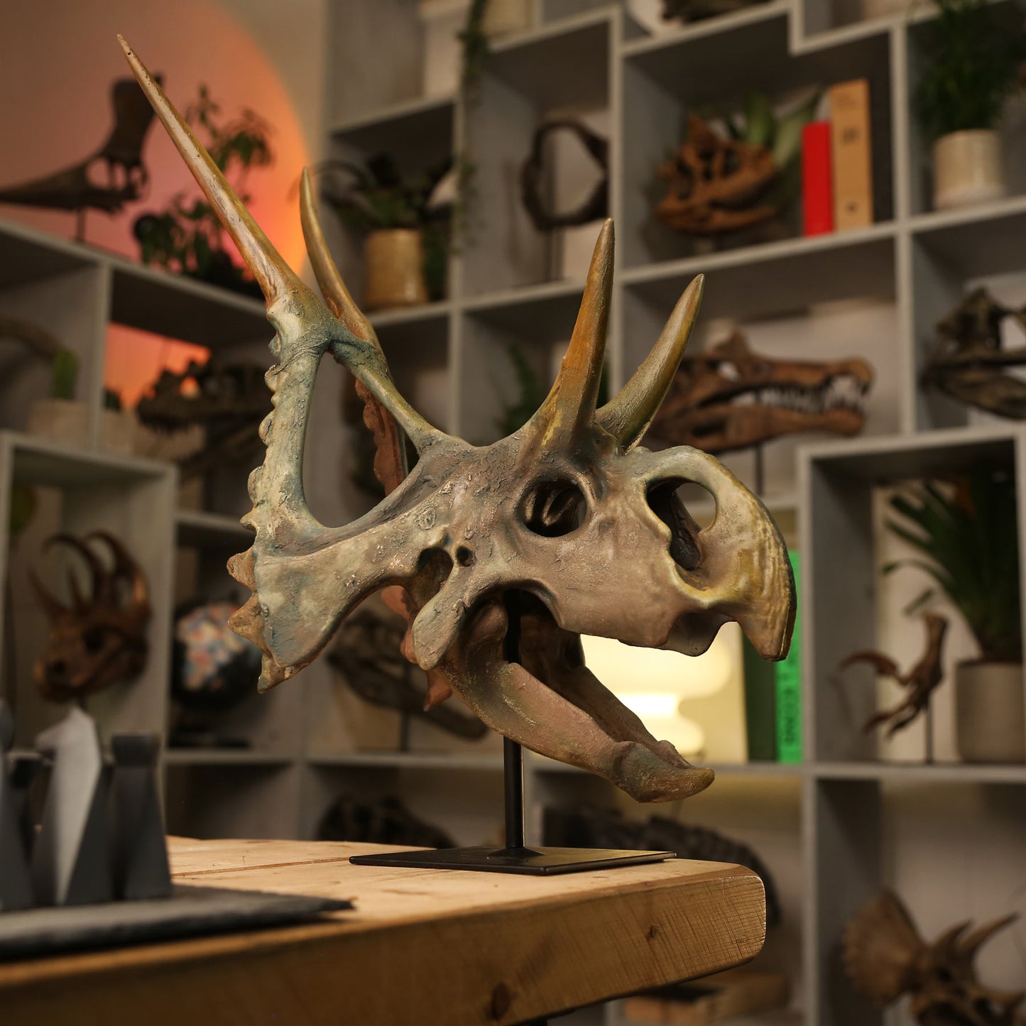 Diabloceratops