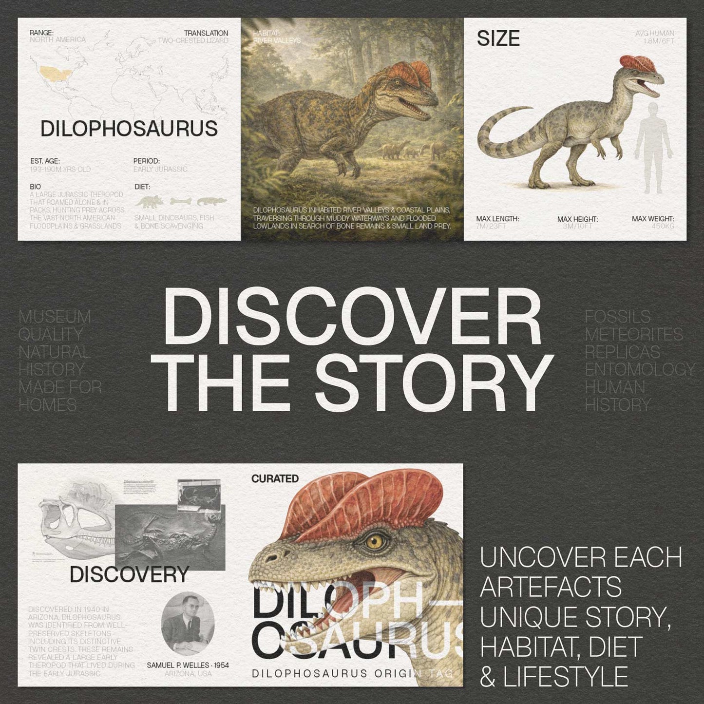 Dilophosaurus