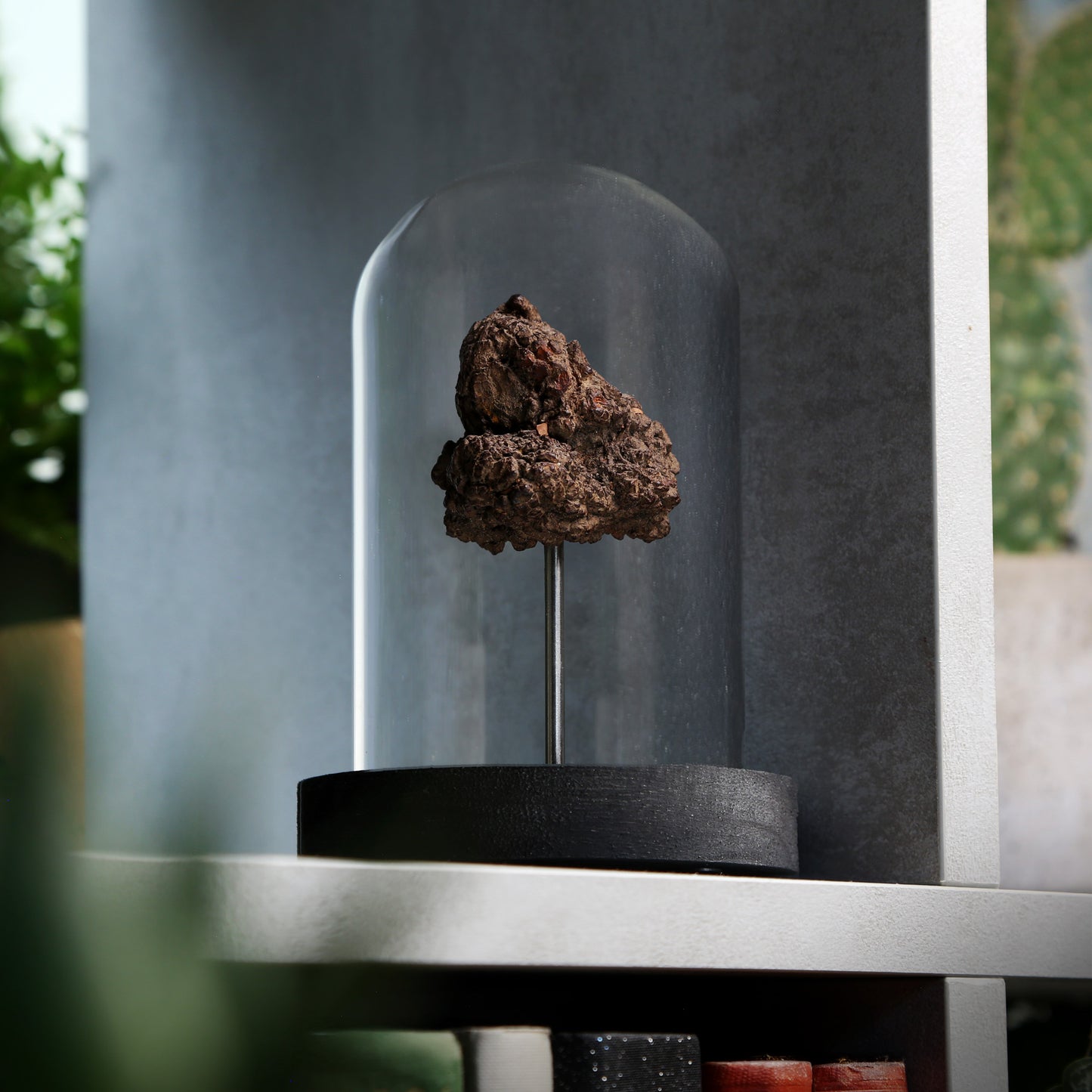 Dinosaur Dung