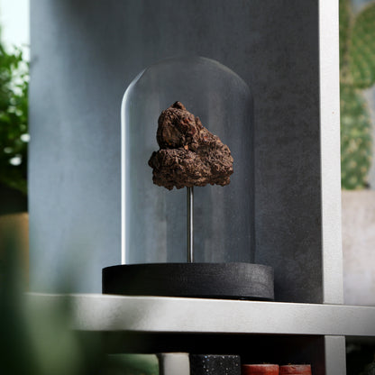 Dinosaur Dung