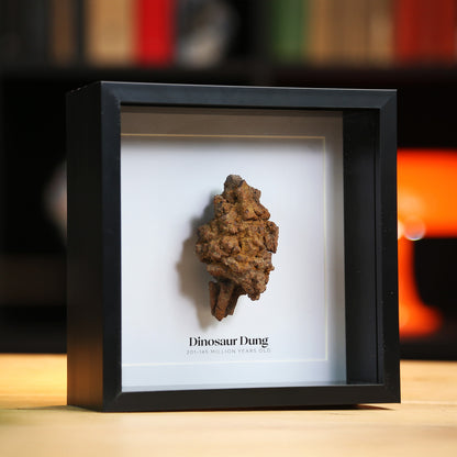 Dinosaur Dung