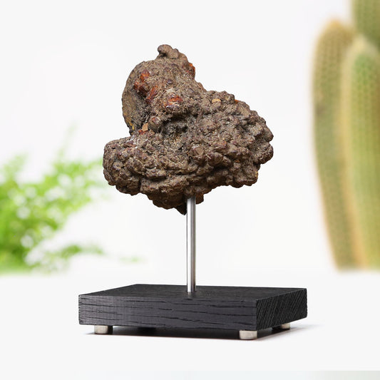 Dinosaur Dung