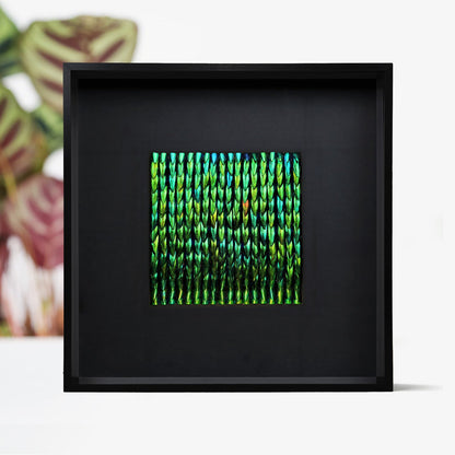 Lucia Metamorphosis Elytra Beetle Wing Mosaic