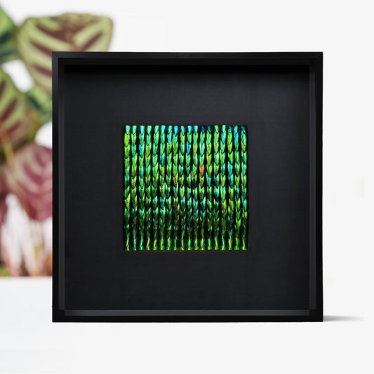 Lucia Metamorphosis Elytra Beetle Wing Mosaic