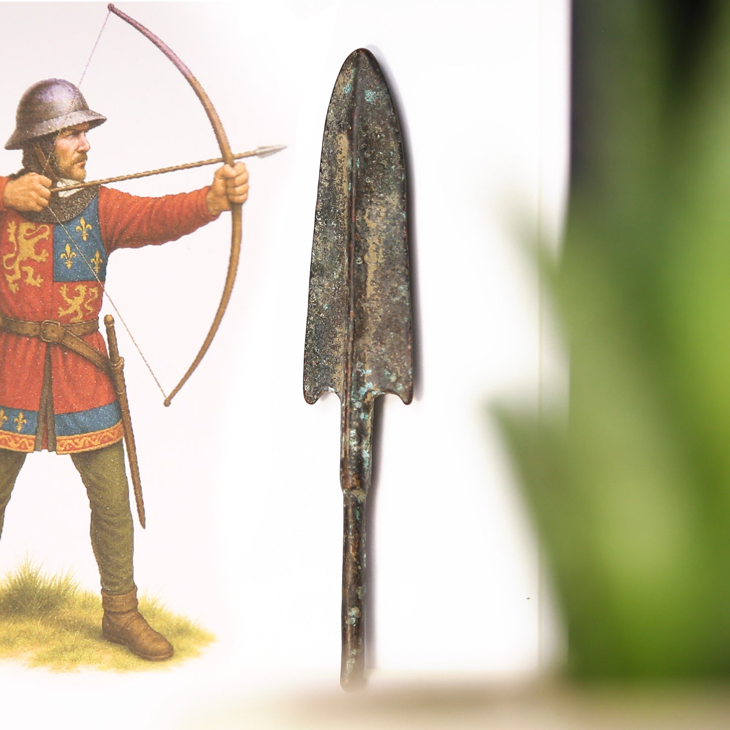 English Arrowhead