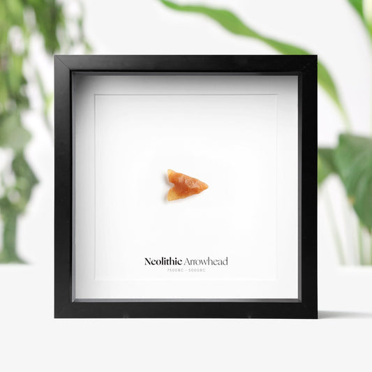 Neolithic Arrowhead