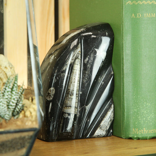 Black Marble & Belemnite Bookends