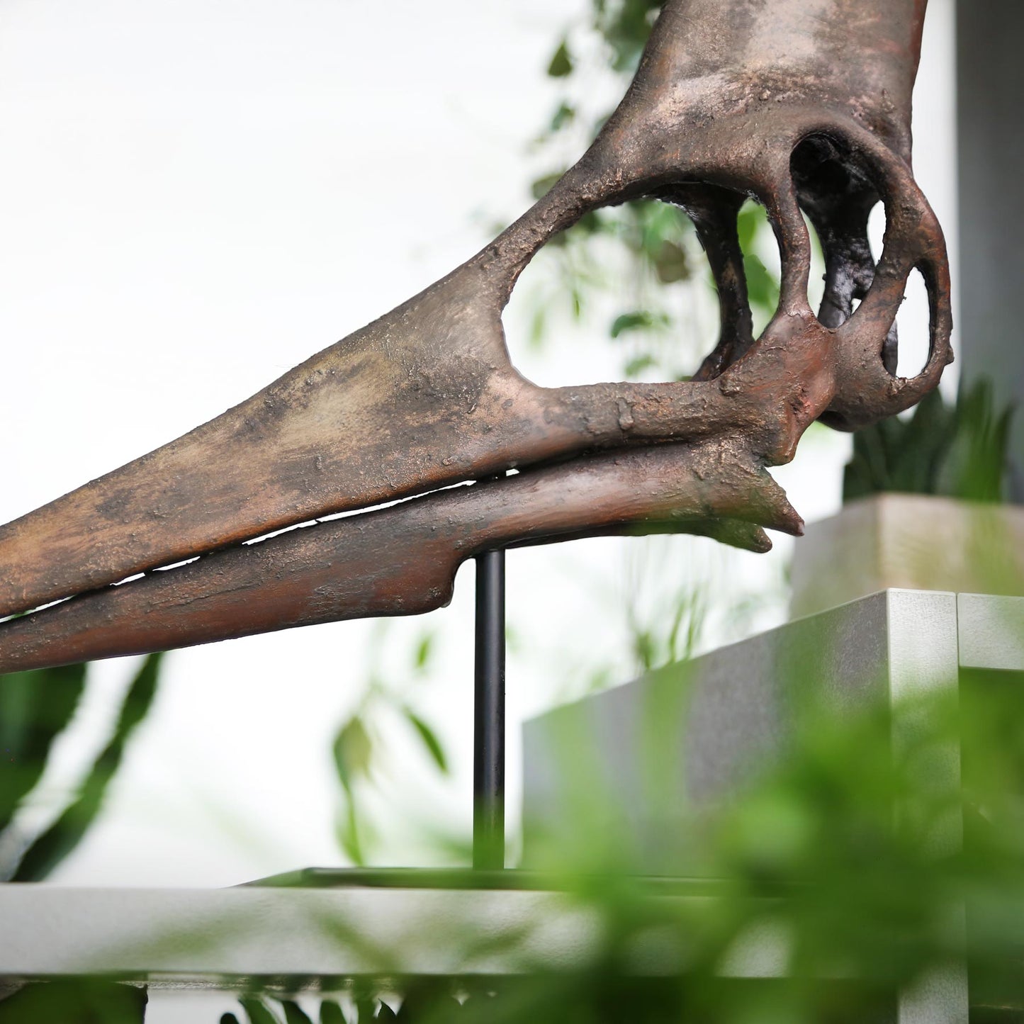 Geosternbergia