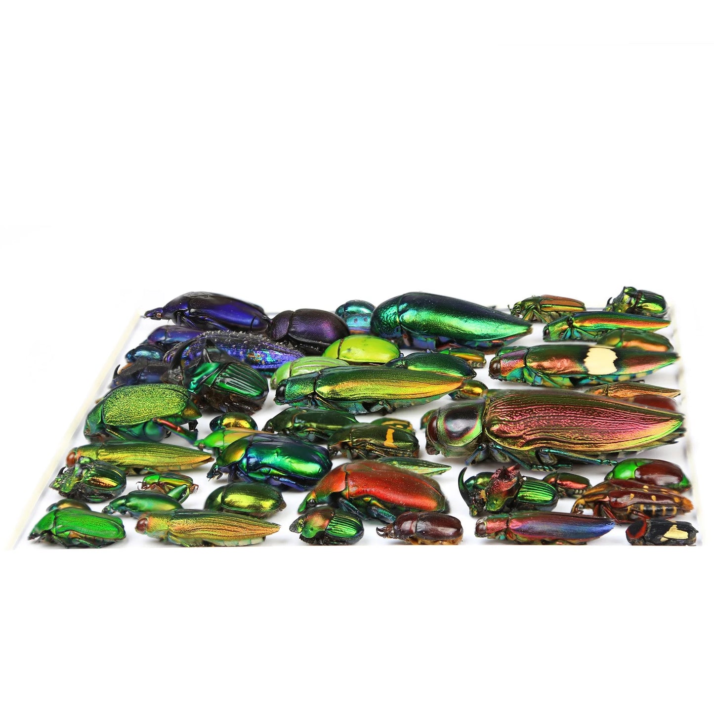 Chromatic Gradient Mosaic