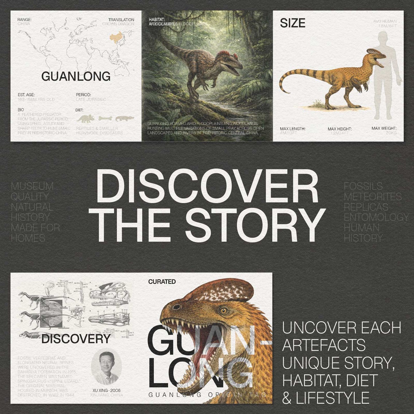 Guanlong