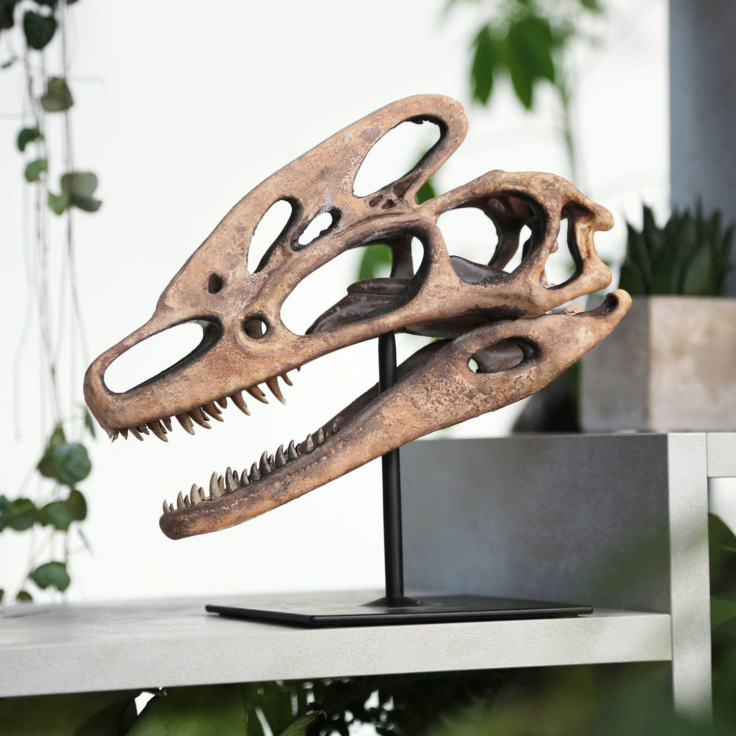 Guanlong