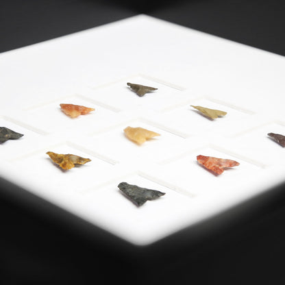 Neolithic Arrowhead Collection