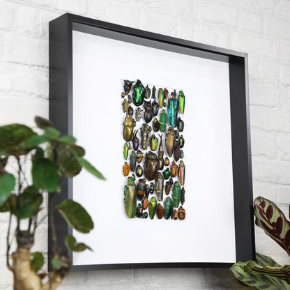 Iridescent Mosaic