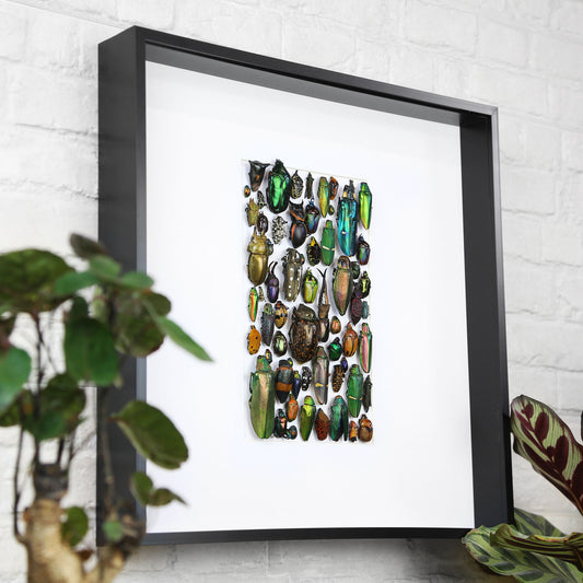 Iridescent Mosaic