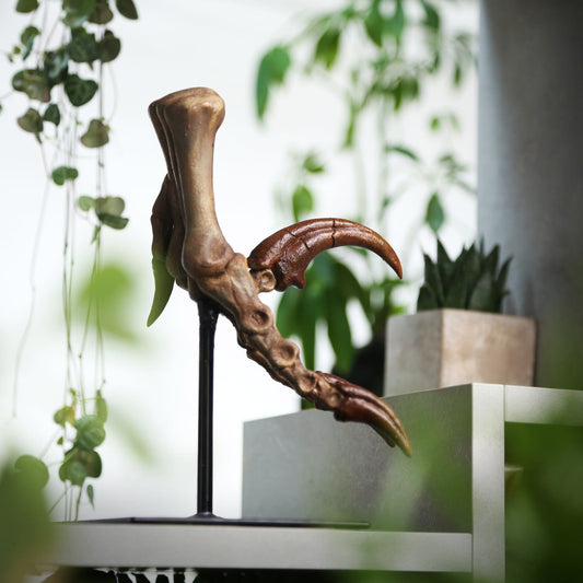 Velociraptor Killing Claw
