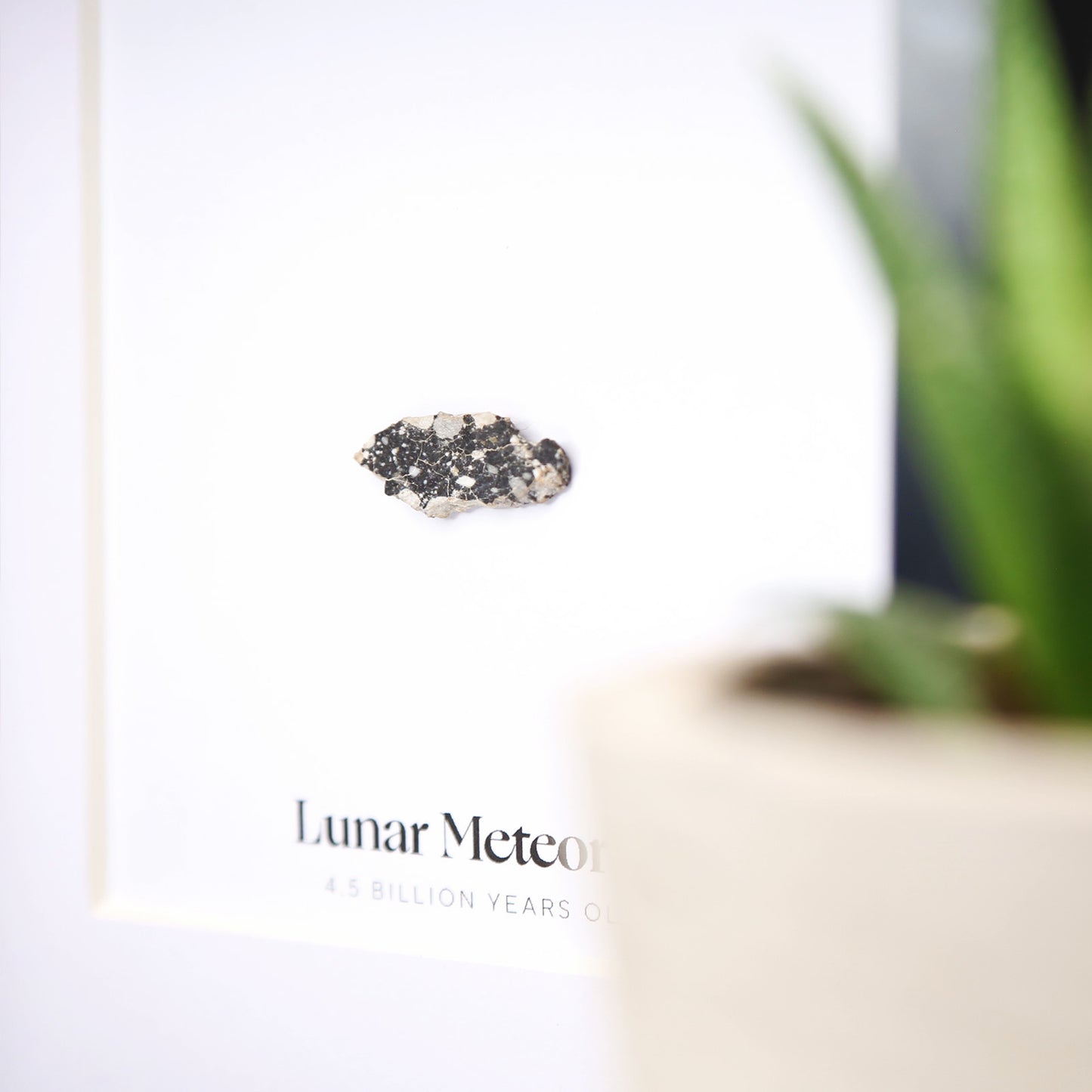 Lunar Slice