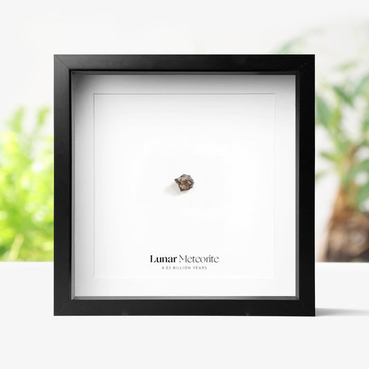 Lunar Meteorite
