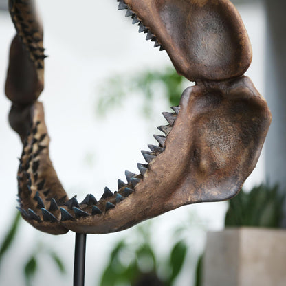 Megalodon