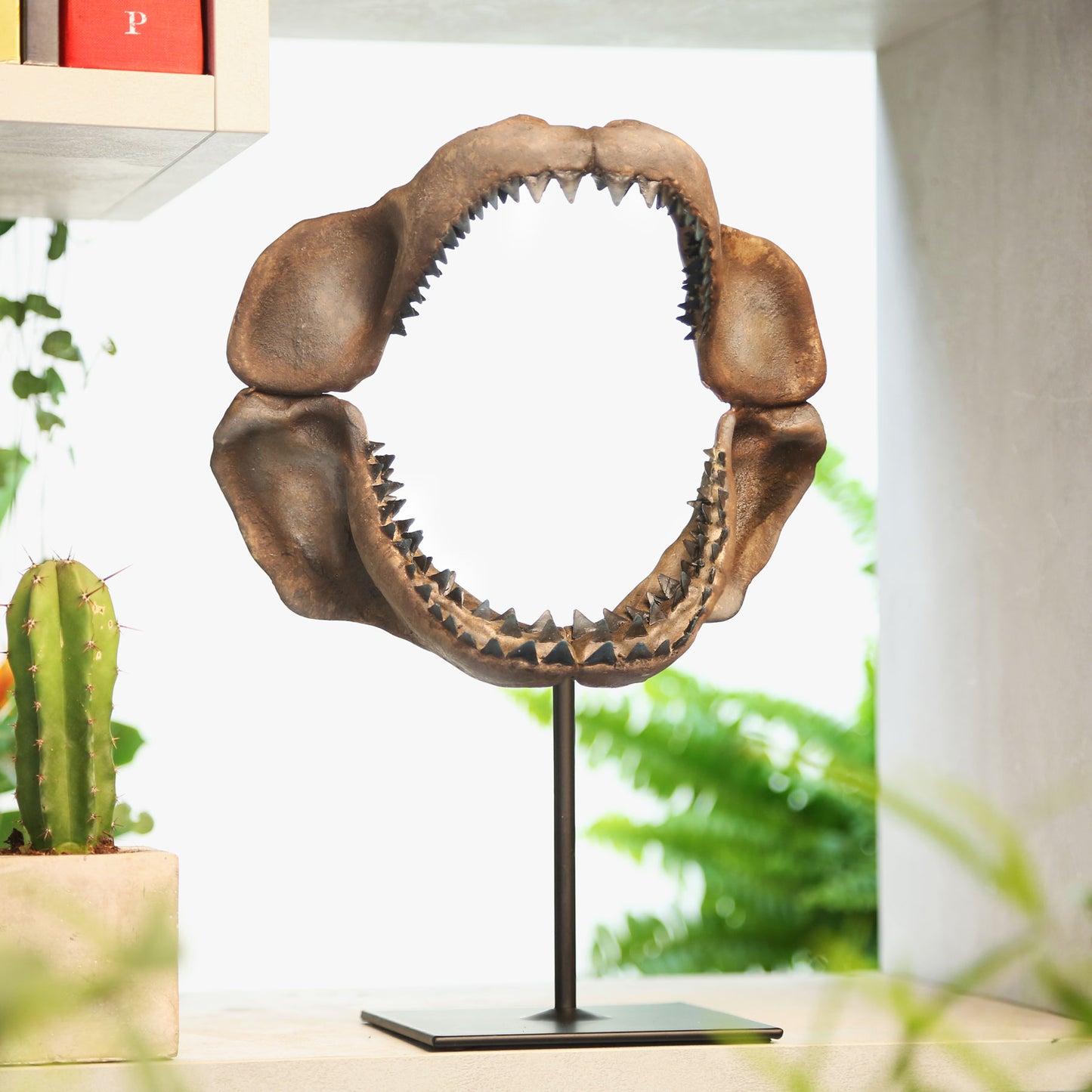 Megalodon
