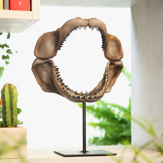 Megalodon