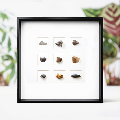 Meteorite Myriad