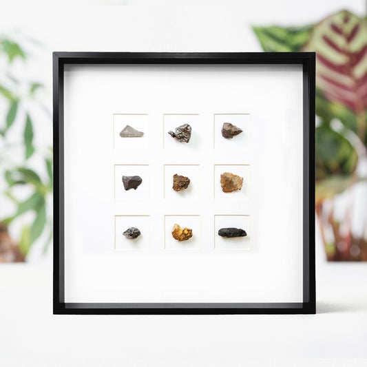 Meteorite Myriad