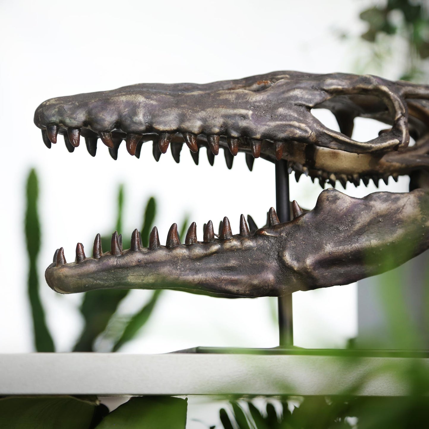 Mosasaurus