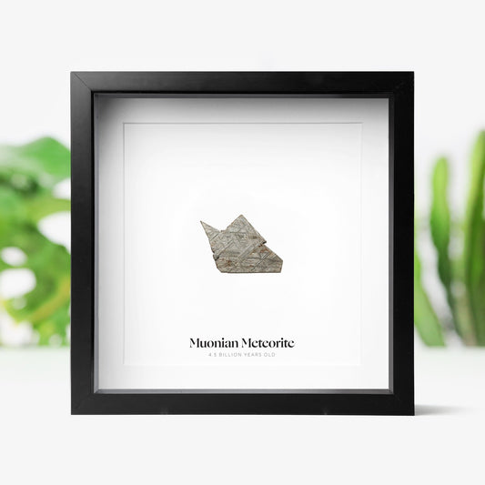 Muonian Meteorite