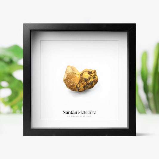 Nantan Meteorite