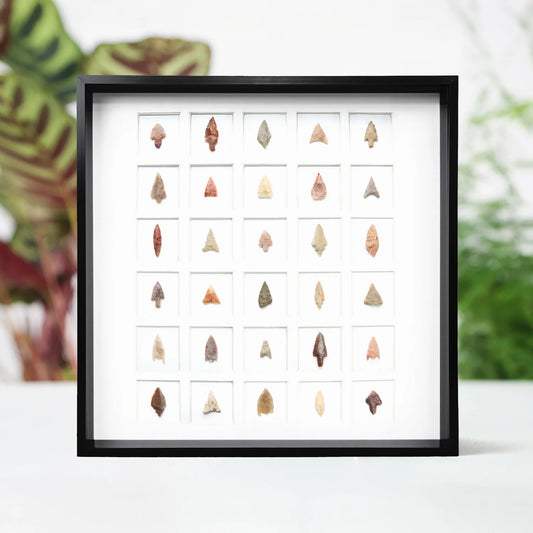 Neolithic Arrowhead Myriad