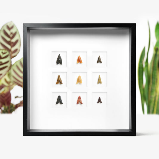 Neolithic Arrowhead Collection