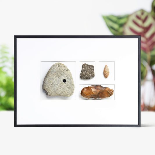 Neolithic Collection