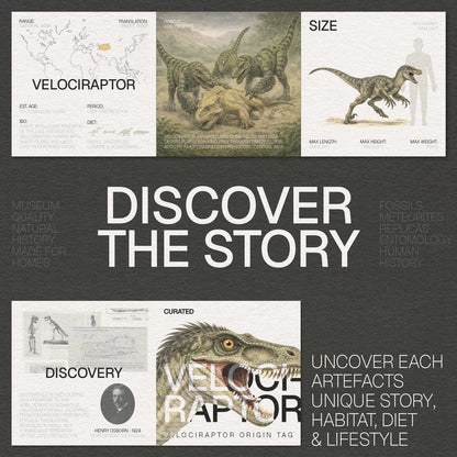 Velociraptor