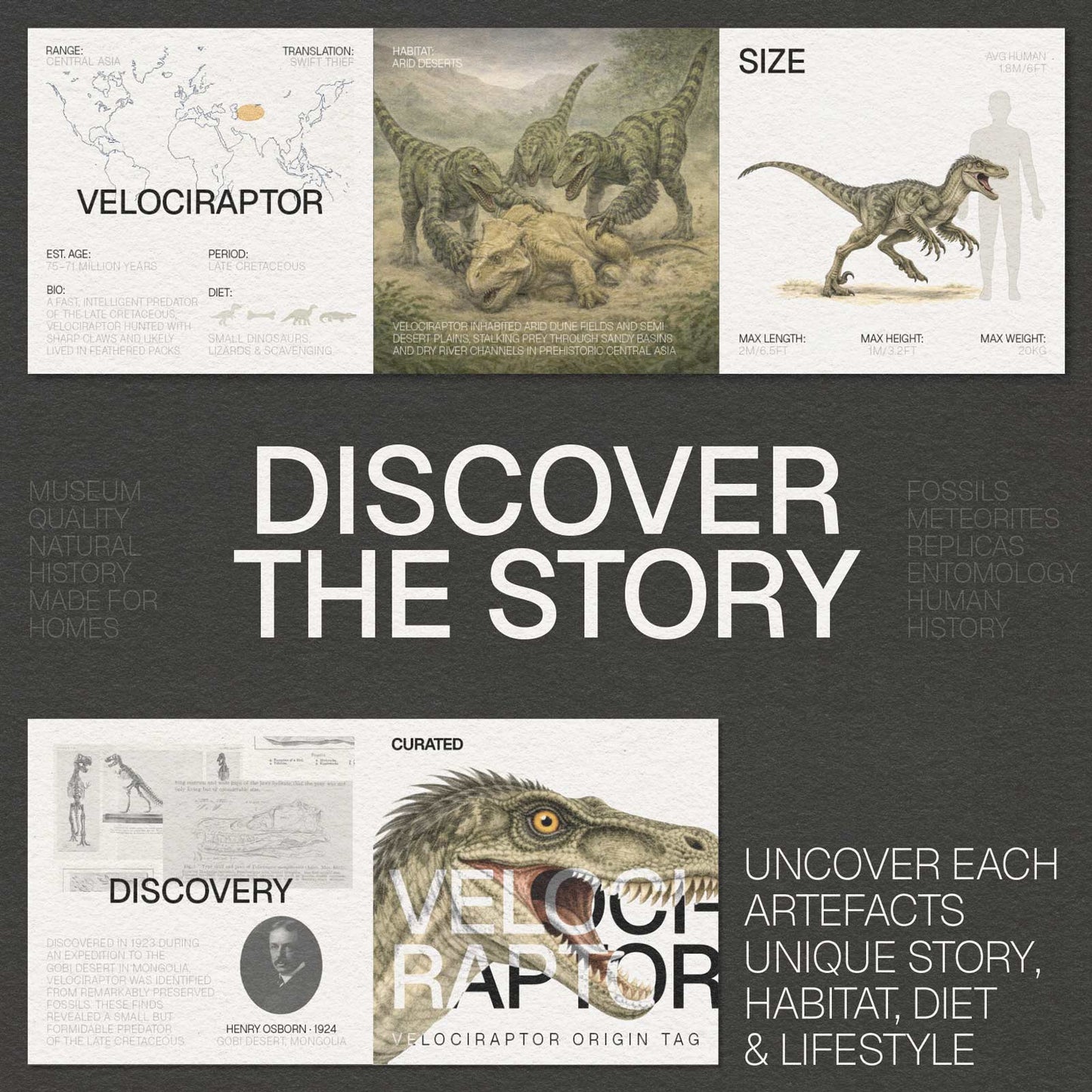 Velociraptor Killing Claw
