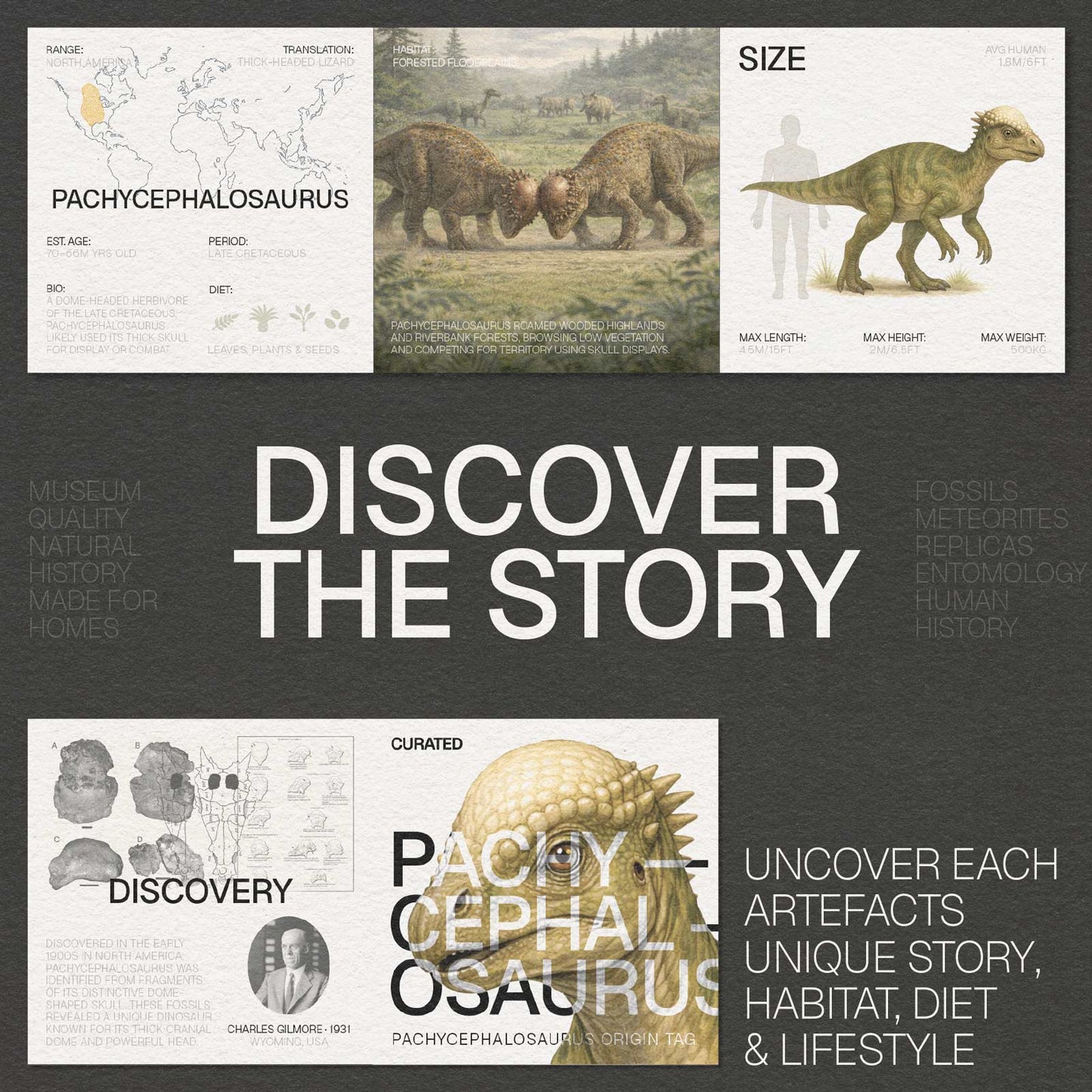 Pachycephalosaurus